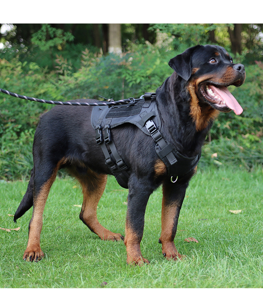 Tactical Dog Vest Nylon Dogs Harness Tactical Gear