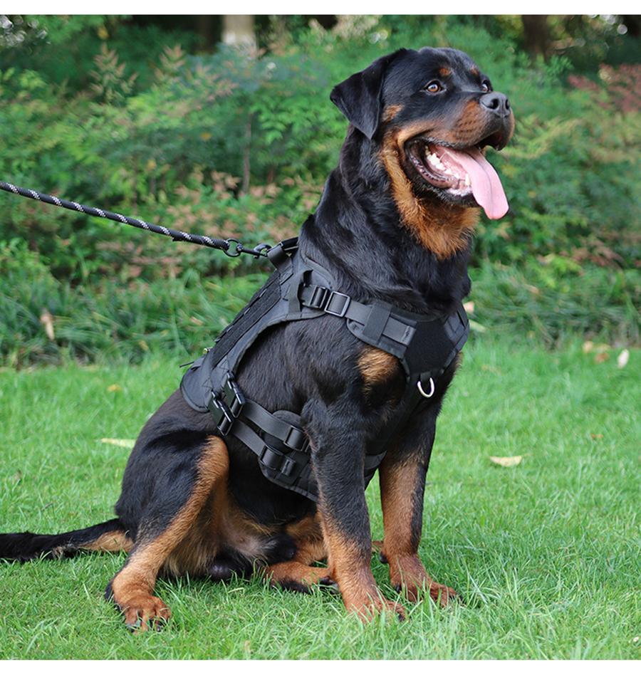 Tactical Dog Vest Nylon Dogs Harness Tactical Gear