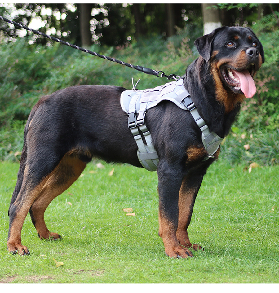 Tactical Dog Vest Nylon Dogs Harness Tactical Gear